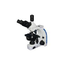 EDUCATIONAL STEREO MICROSCOPES 1228M25